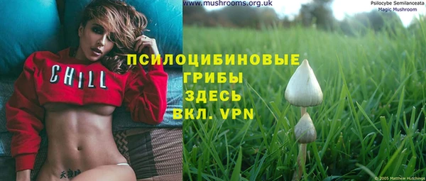 ALPHA-PVP Баксан