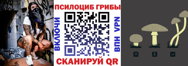 Галлюциногенные грибы GOLDEN TEACHER  Кушва 