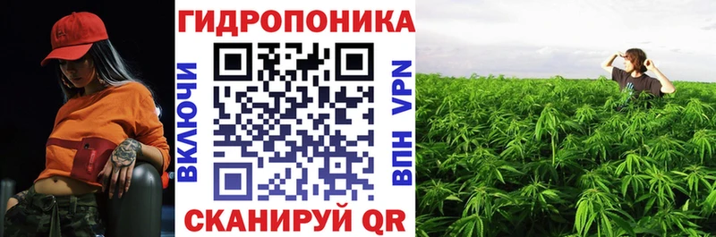 Марихуана план  Кушва 